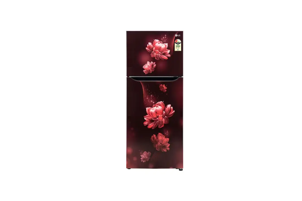 LG 242L Double Door Refrigerator with Smart Inverter Compressor, Multi-Air Flow, Scarlet charm, 2 Star GL-N292BSCY