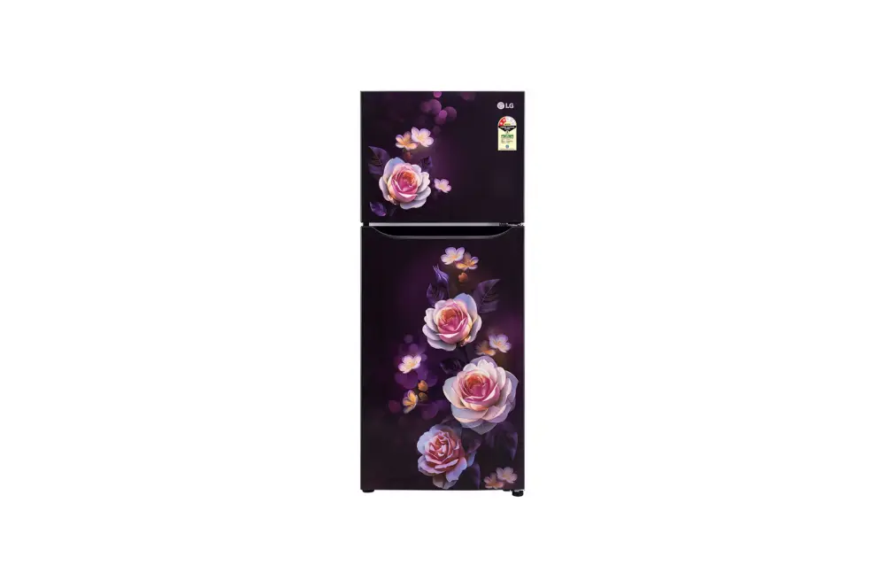 LG 242L Double Door Refrigerator with Smart Inverter Compressor, Multi-Air Flow, Purple Bloom, 2 Star GL-N292DPBY