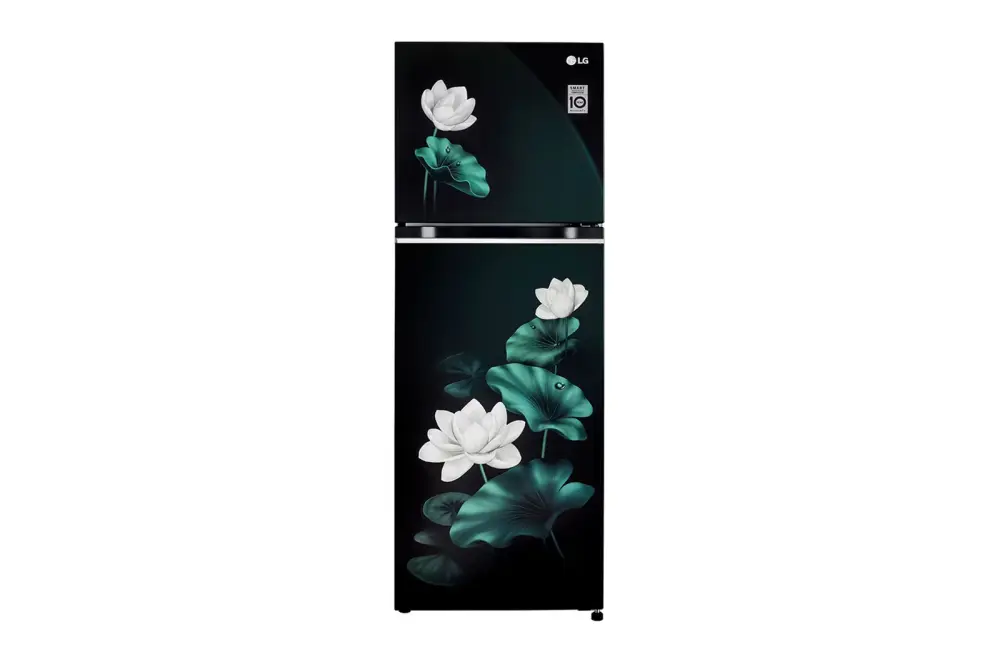 LG 246L Double Door Refrigerator with Smart Inverter Compressor, Convertible, Multi-Air Flow, Emerald Lotus, 3 Star GL-S262SELX