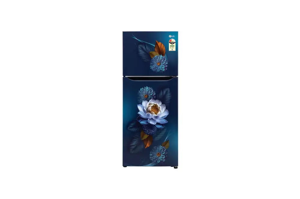 LG 240L Double Door Refrigerator with Smart Inverter Compressor, Multi-Air Flow, Blue Water Lily, 2 Star GL-S292BWY