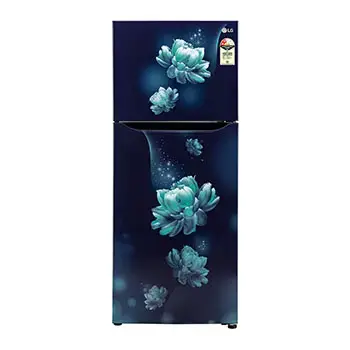 LG 242L Double Door Refrigerator with Smart Inverter Compressor, Multi-Air Flow, Blue Charm, 2 Star GL-N292BBCY