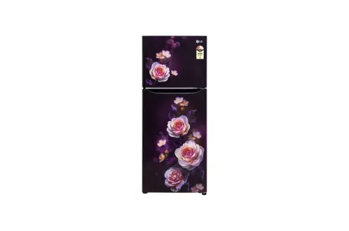 LG 242L Double Door Refrigerator with Smart Inverter Compressor, Multi-Air Flow, Purple Bloom, 2 Star GL-N292DPBY