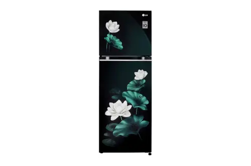 LG 246L Double Door Refrigerator with Smart Inverter Compressor, Convertible, Multi-Air Flow, Emerald Lotus, 3 Star GL-S262SELX